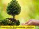 Safeguarding the Planet and Your Business: The Importance of Insurance for Environmental Liabilities