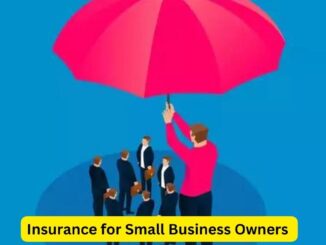Insurance for Small Business Owners: A Safety Net for Success