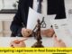 Navigating Legal Issues in Real Estate Development