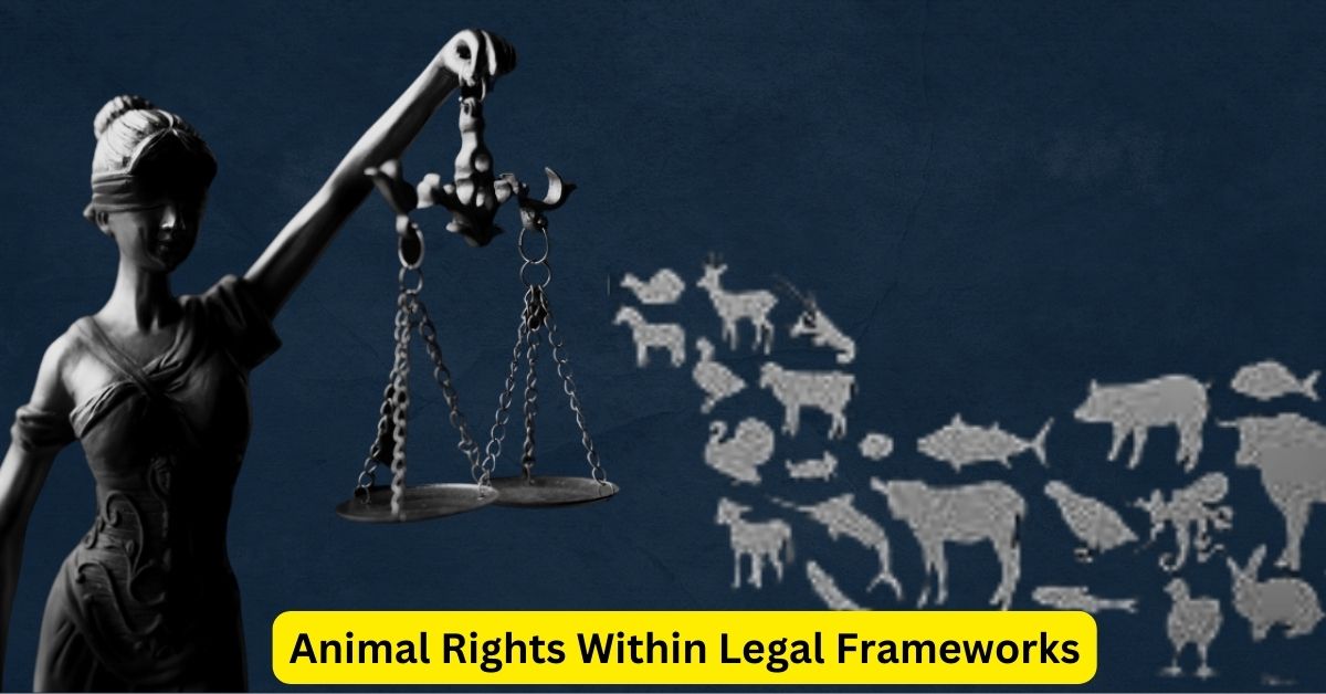 Advocating for Voices Unheard: Animal Rights Within Legal Frameworks