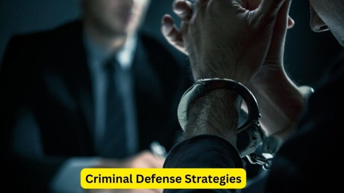 Criminal Defense Strategies Navigating the Path from Investigation to Trial Criminal Defense Strategies: Navigating the Path from Investigation to Trial