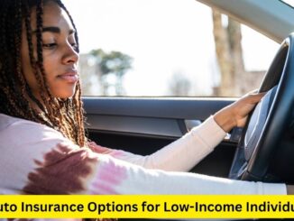 Driving Affordability: Auto Insurance Options for Low-Income Individuals