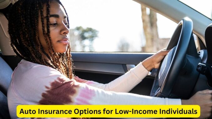 Driving Affordability: Auto Insurance Options for Low-Income Individuals