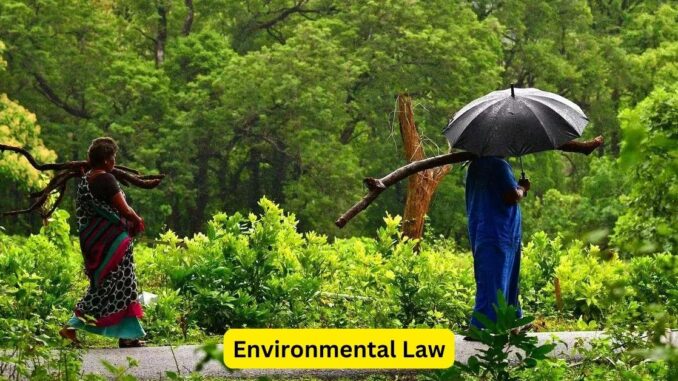 Environmental Law: Striking a Balance Between Industry and Conservation