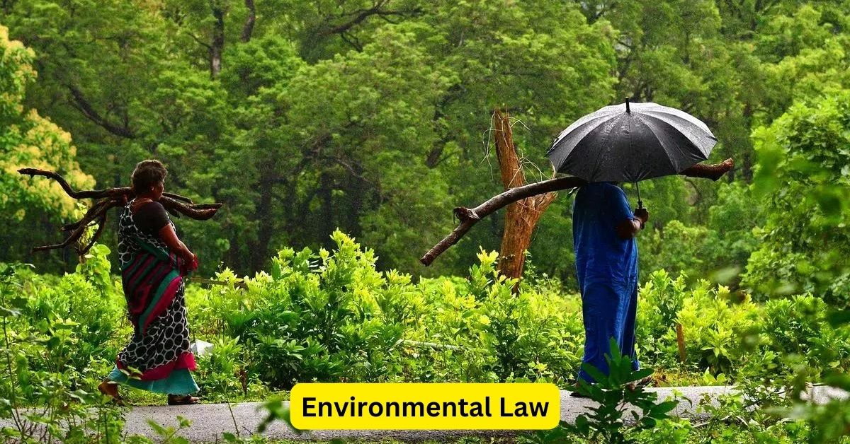 Environmental Law: Striking a Balance Between Industry and Conservation