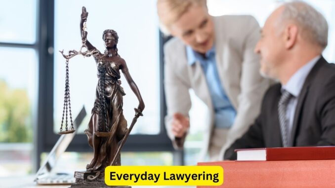 Everyday Lawyering Unplanned Legal Adventures in Daily Life Everyday Lawyering: Unplanned Legal Adventures in Daily Life