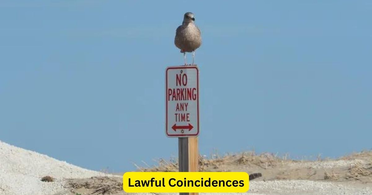 Lawful Coincidences: When Life Takes a Legal Turn