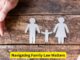 Navigating Family Law Matters: Divorce, Custody, and Support