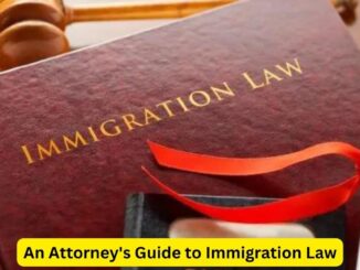Navigating the Complexities: An Attorney's Guide to Immigration Law