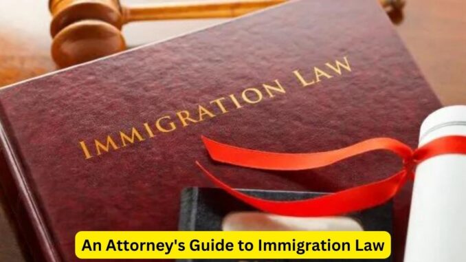 Navigating the Complexities: An Attorney's Guide to Immigration Law