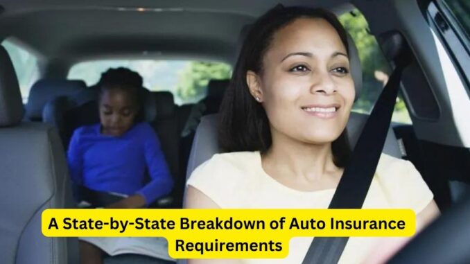 Navigating the Road: A State-by-State Breakdown of Auto Insurance Requirements