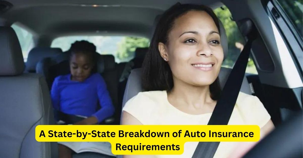 Navigating the Road: A State-by-State Breakdown of Auto Insurance Requirements
