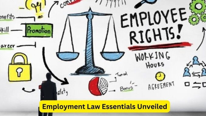 Navigating the Workplace Employment Law Essentials Unveiled Navigating the Workplace: Employment Law Essentials Unveiled