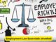 Navigating the Workplace: Employment Law Essentials Unveiled
