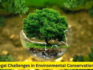 Safeguarding Nature: Legal Challenges in Environmental Conservation