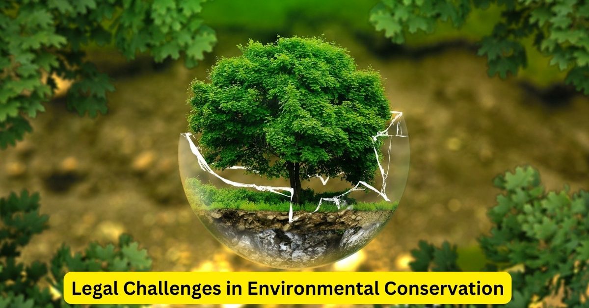 Safeguarding Nature: Legal Challenges in Environmental Conservation