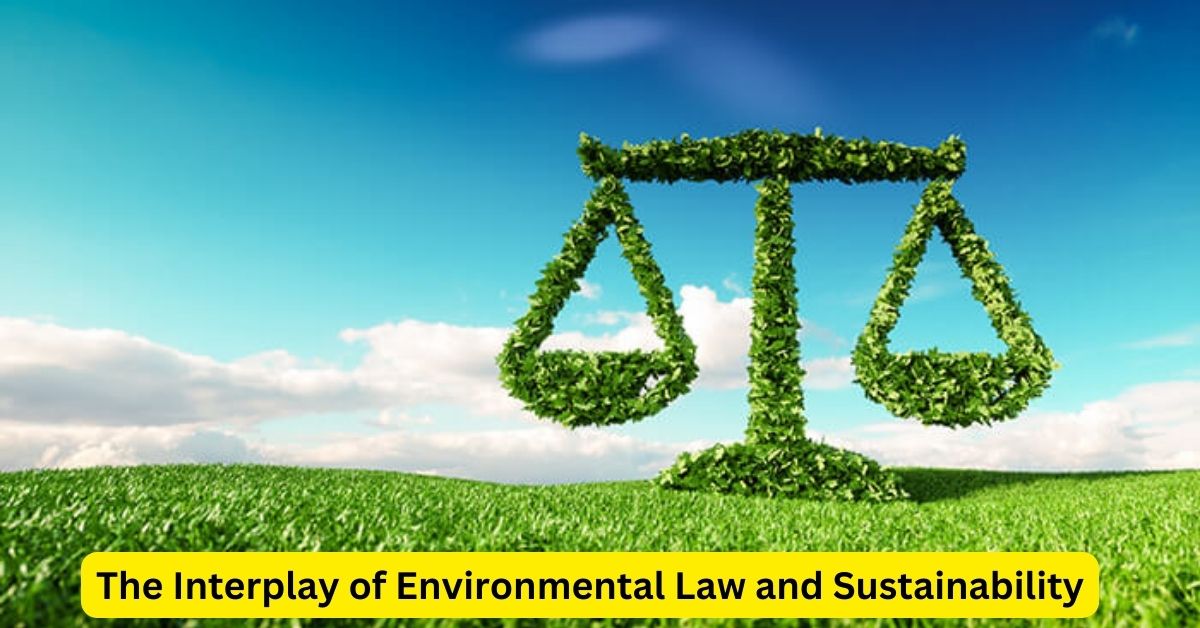 Sustaining Our Future: The Interplay of Environmental Law and Sustainability