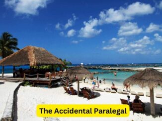 The Accidental Paralegal: Navigating Legal Waters from Within
