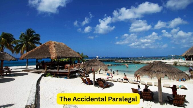 The Accidental Paralegal: Navigating Legal Waters from Within