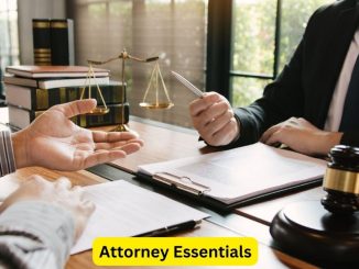 Attorney Essentials: What to Look for in Legal Representation