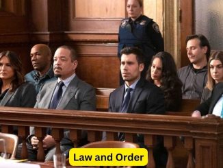 Law and Order: Your Attorney's Role in the System